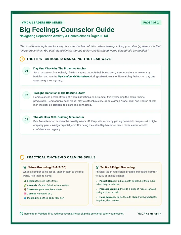 Big Feelings Counselor Guide