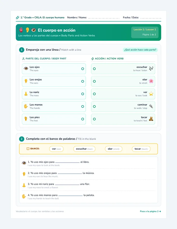 Cuerpo Verbos Worksheet