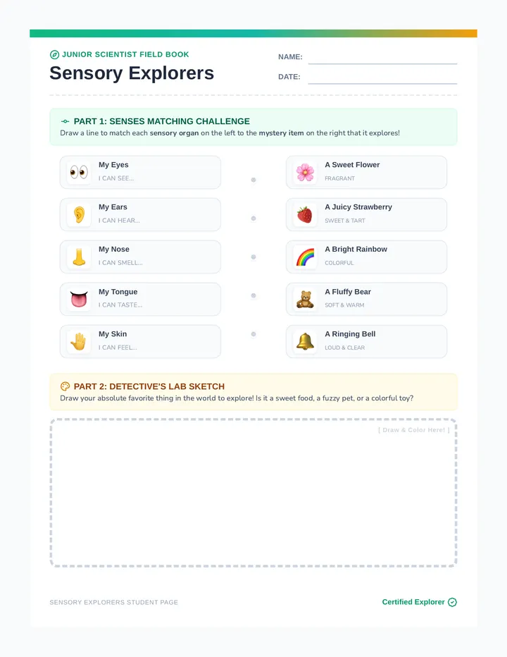 Sensory Explorers Worksheet