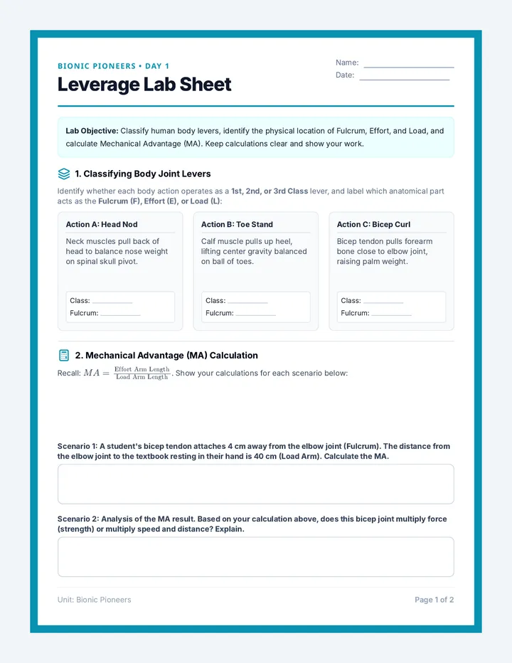 Leverage Lab Worksheet