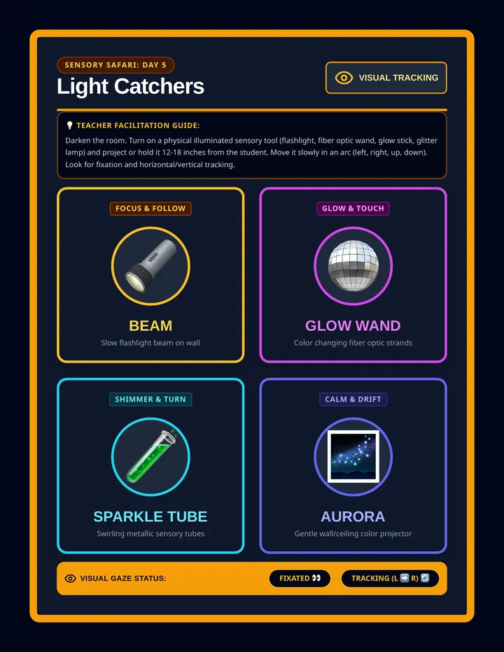 Light Catchers Story Board