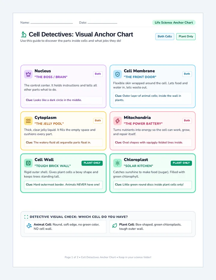 Cell Parts Anchor Handout