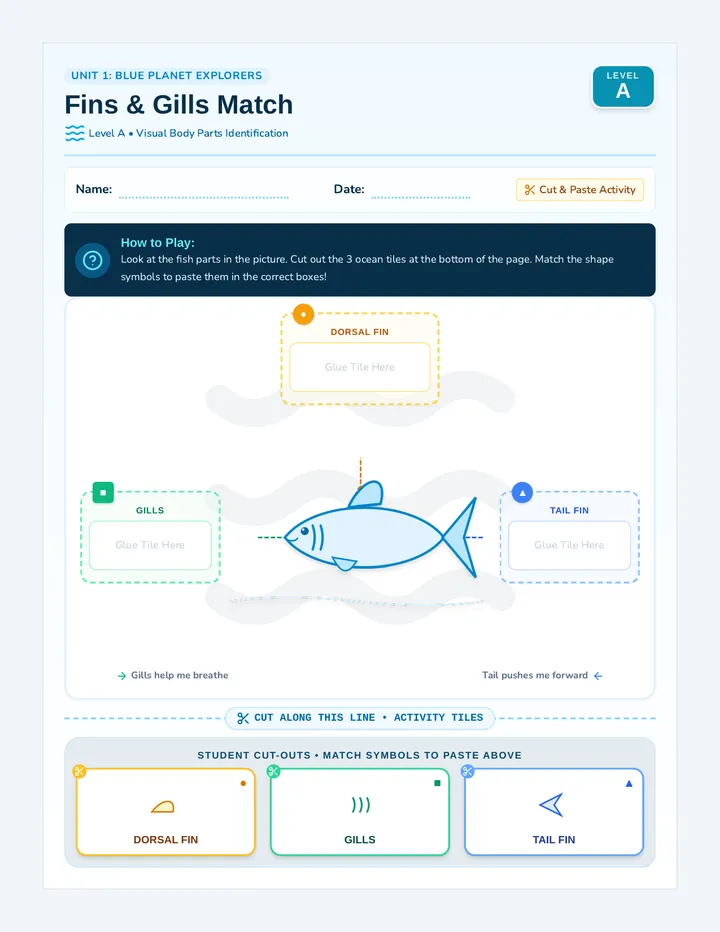Fins Gills Visual Match