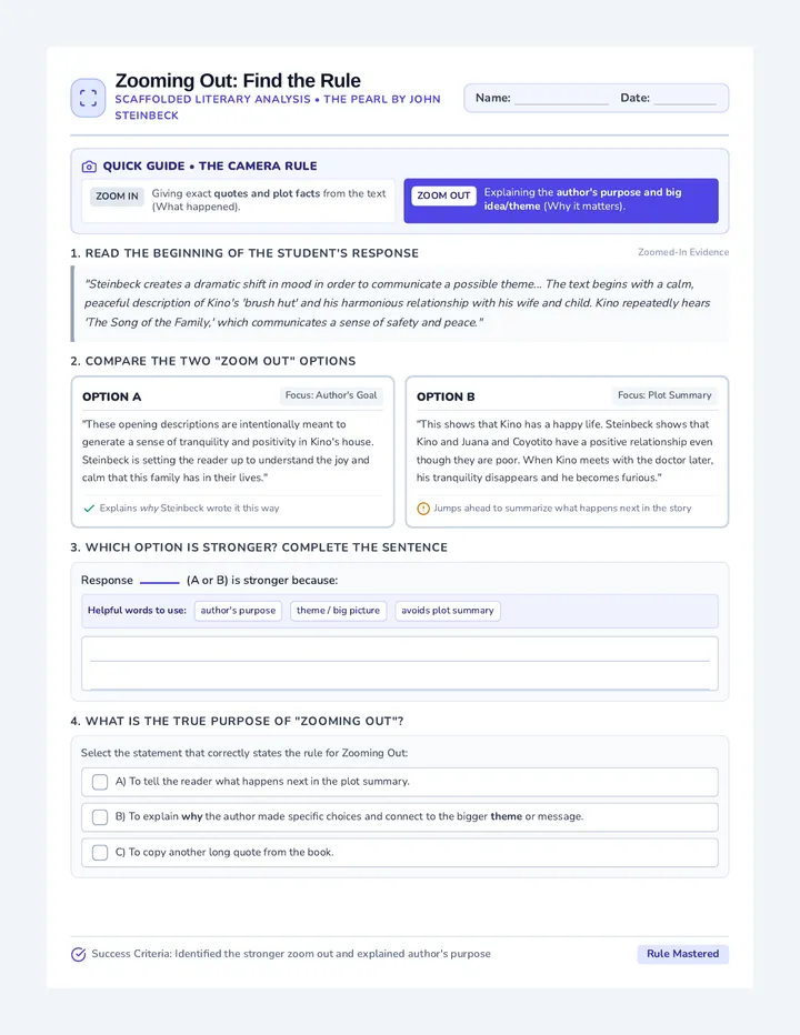 Zooming Out Guided Worksheet