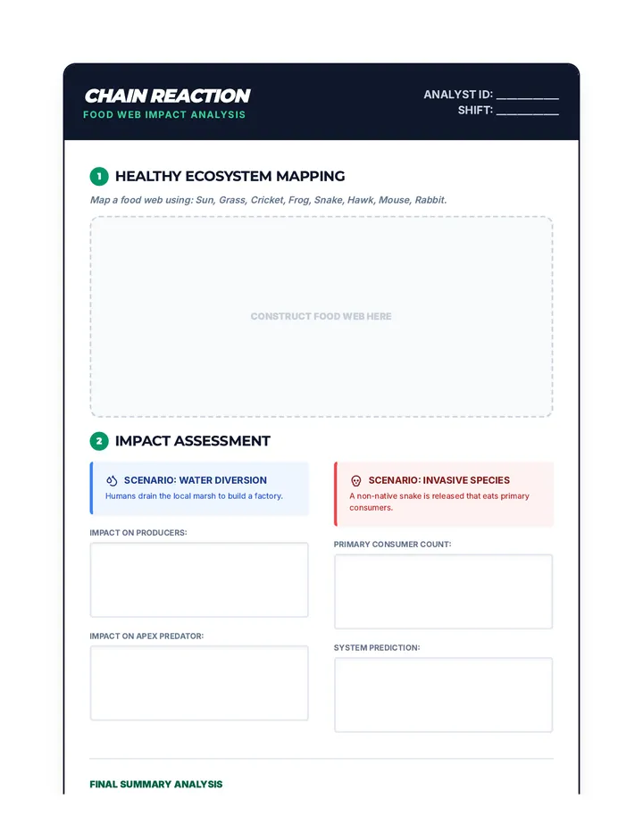 Chain Reaction Graphic Organizer