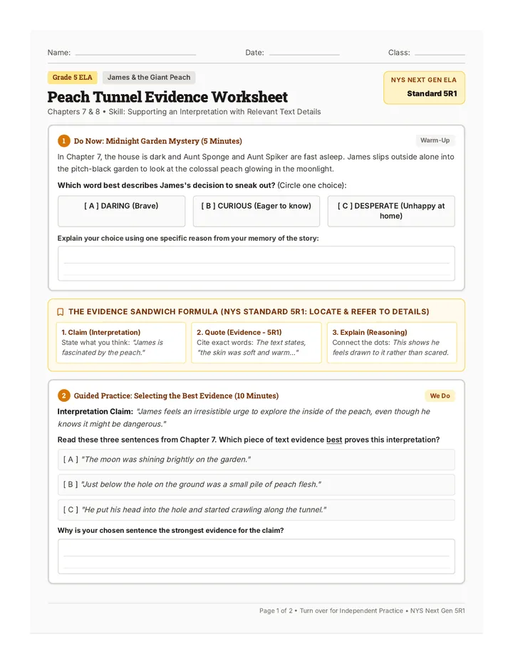 Peach Tunnel Evidence Worksheet