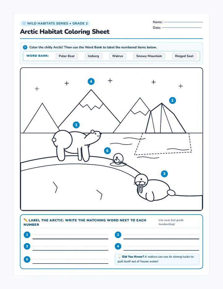 Arctic Habitat Coloring Worksheet