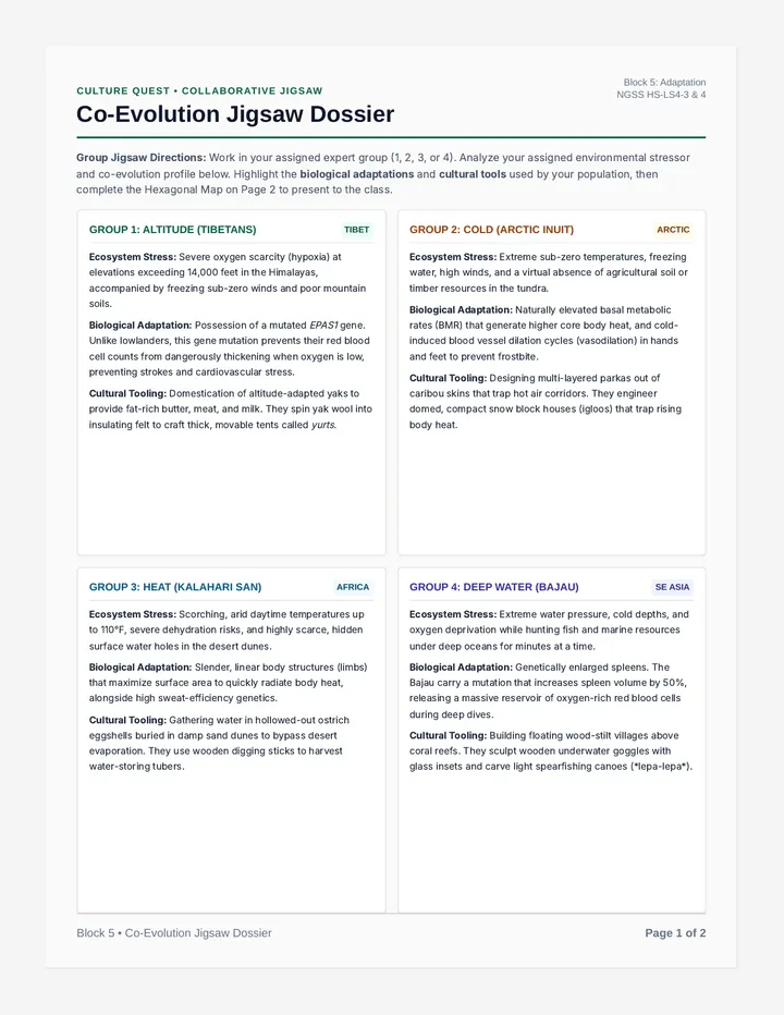 Adaptation Analysis Activity