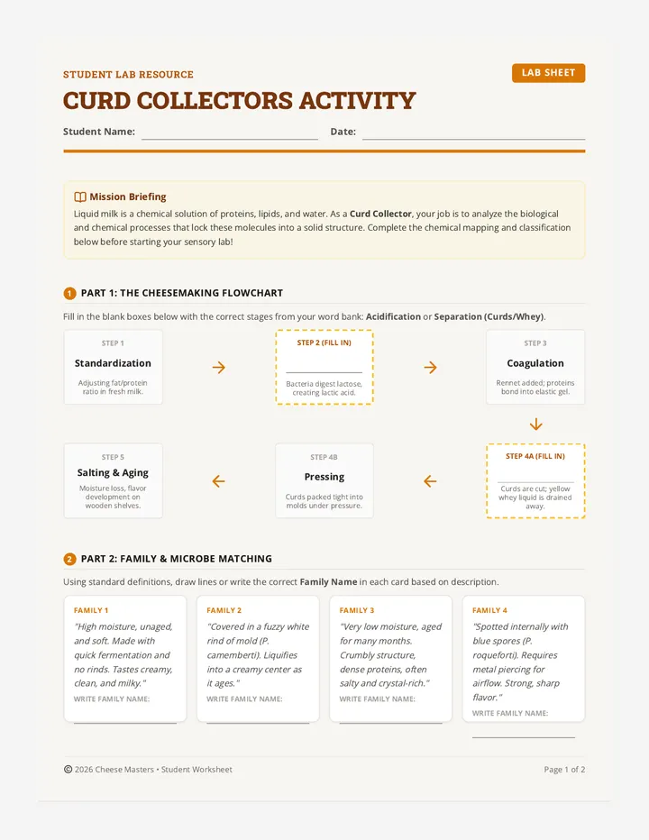 Curd Collectors Activity