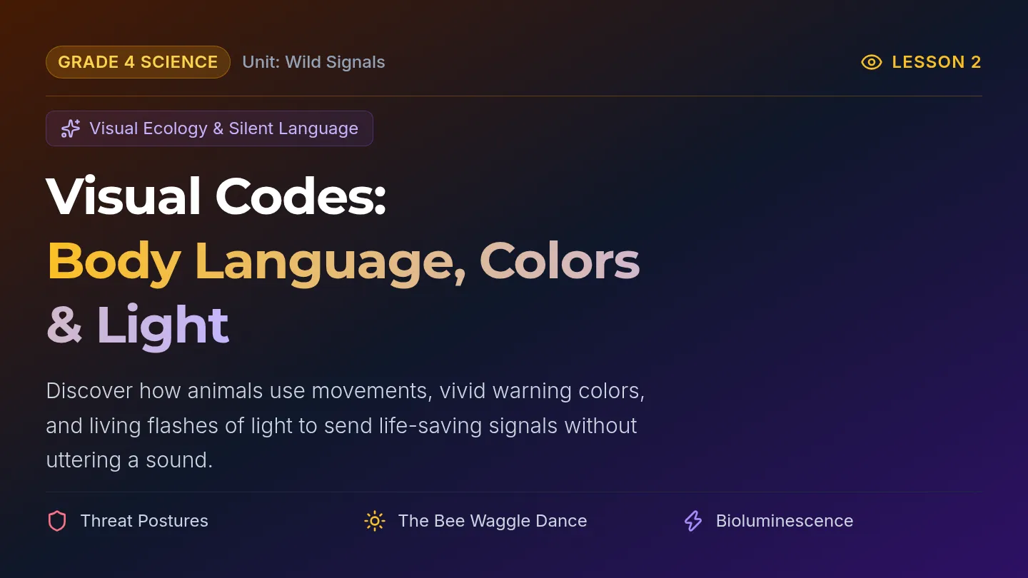 Visual Codes Slides