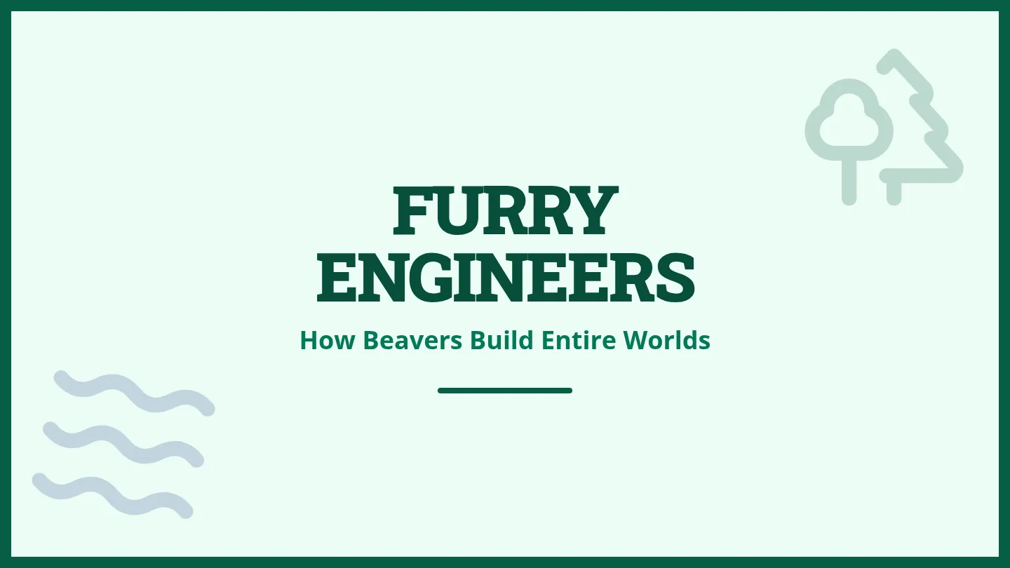 Furry Engineers Slides
