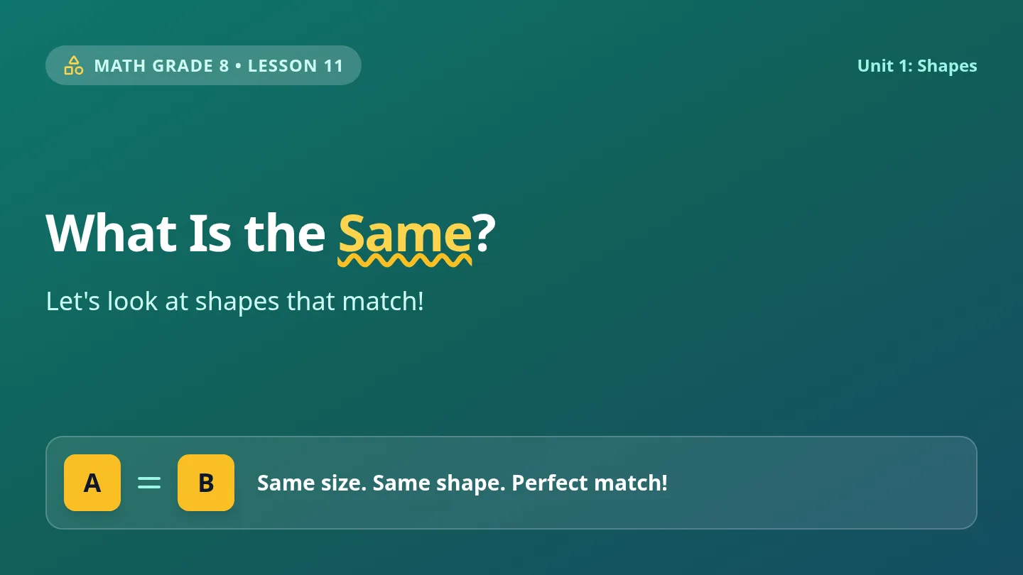 Same Shapes Match Slides
