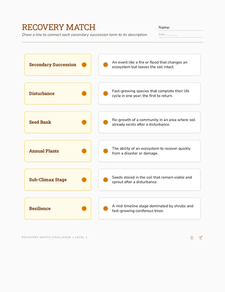 Recovery Match Worksheet