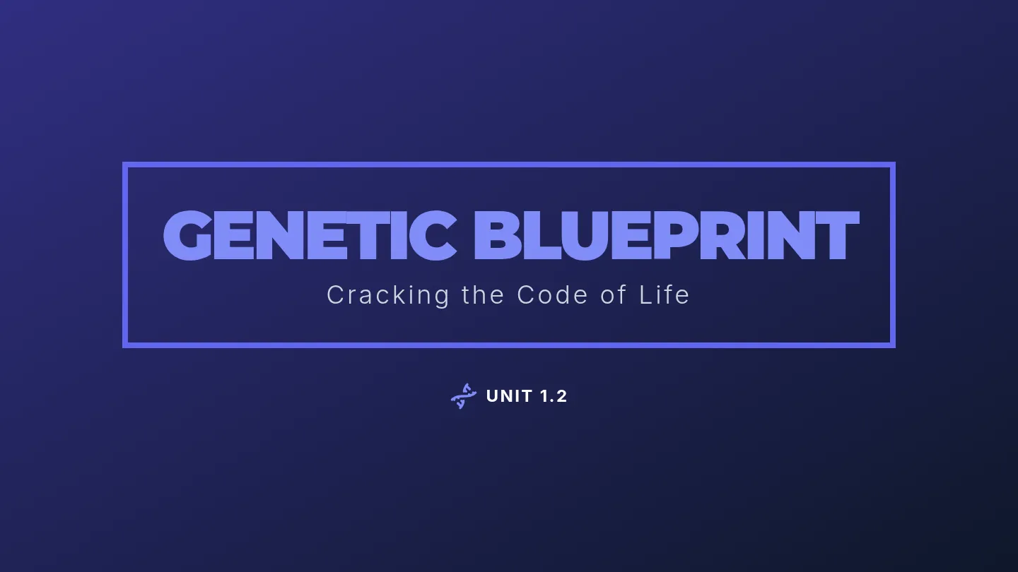 Genetics Blueprint Slides