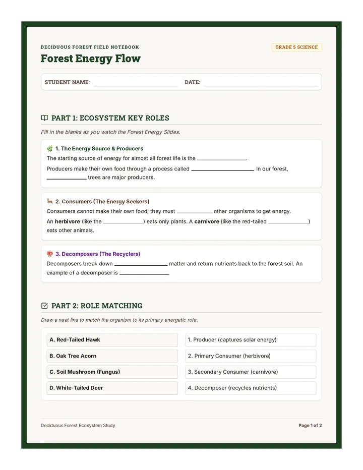 Forest Energy Guided Notes