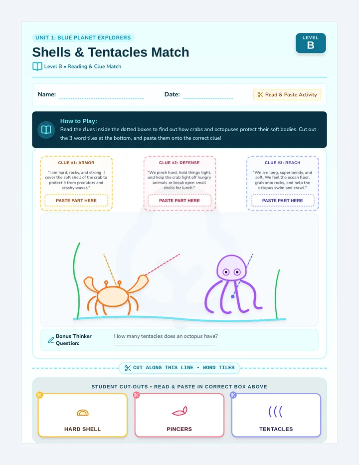 Shells Tentacles Reading Match