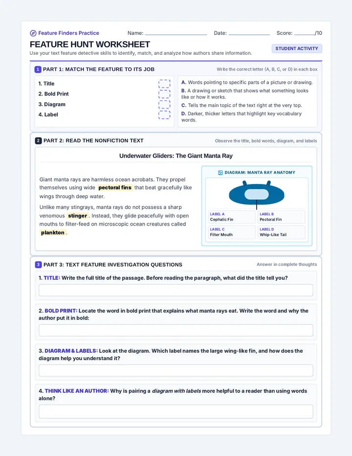 Feature Hunt Worksheet