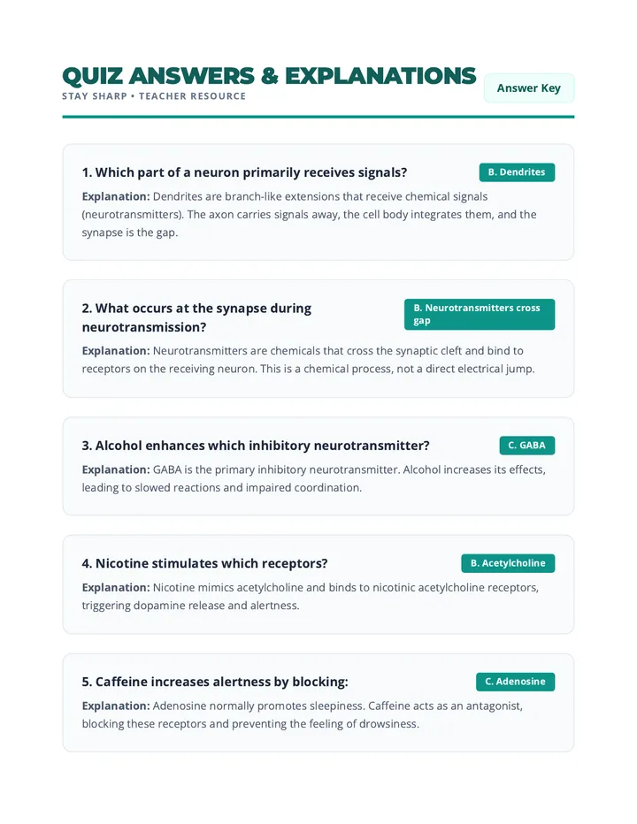 Brain Quiz Answer Key