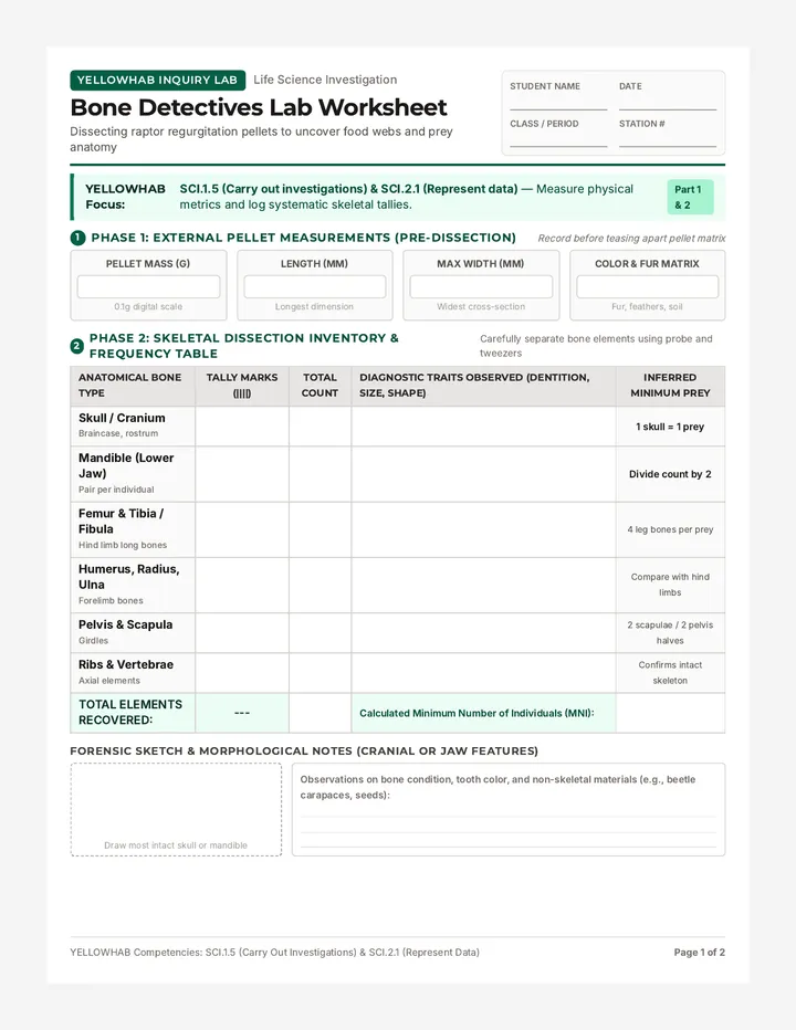Bone Detectives Lab Worksheet
