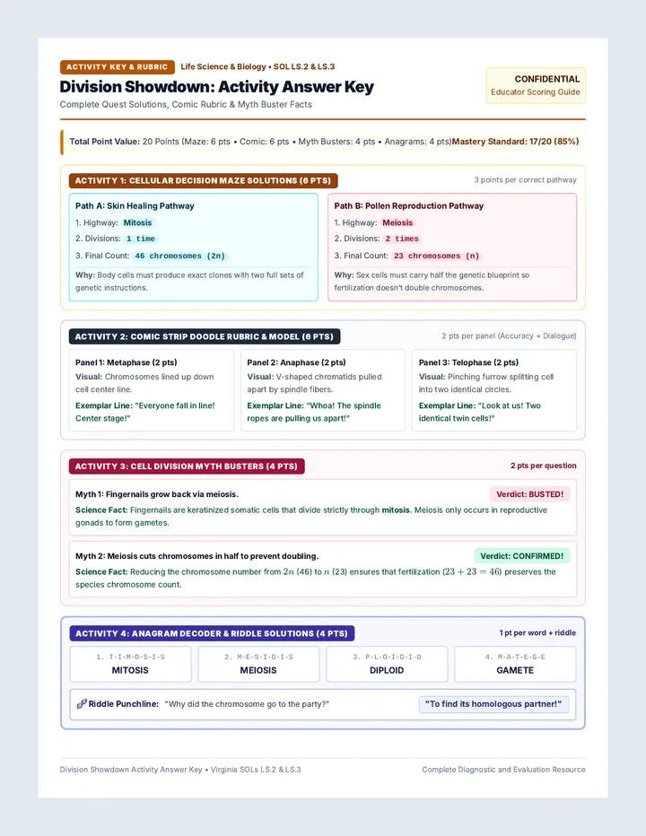Division Showdown Answer Key