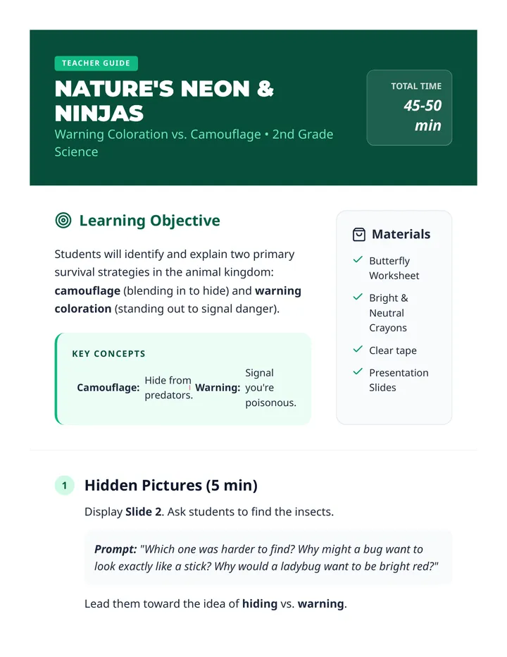 Nature Neon Ninja Teacher Guide