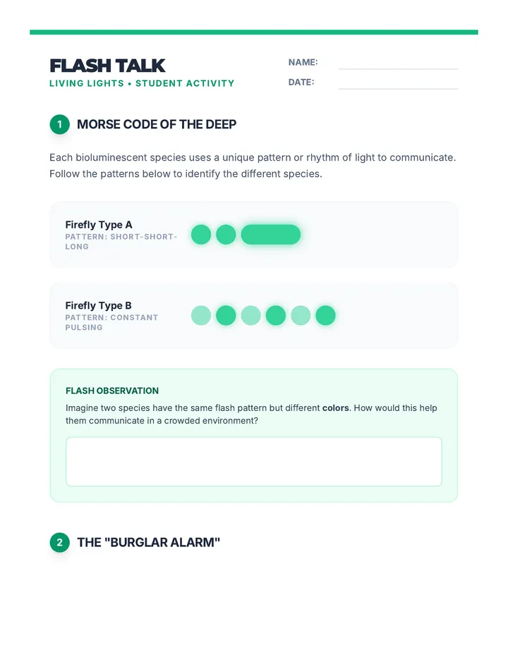 Flash Talk Worksheet