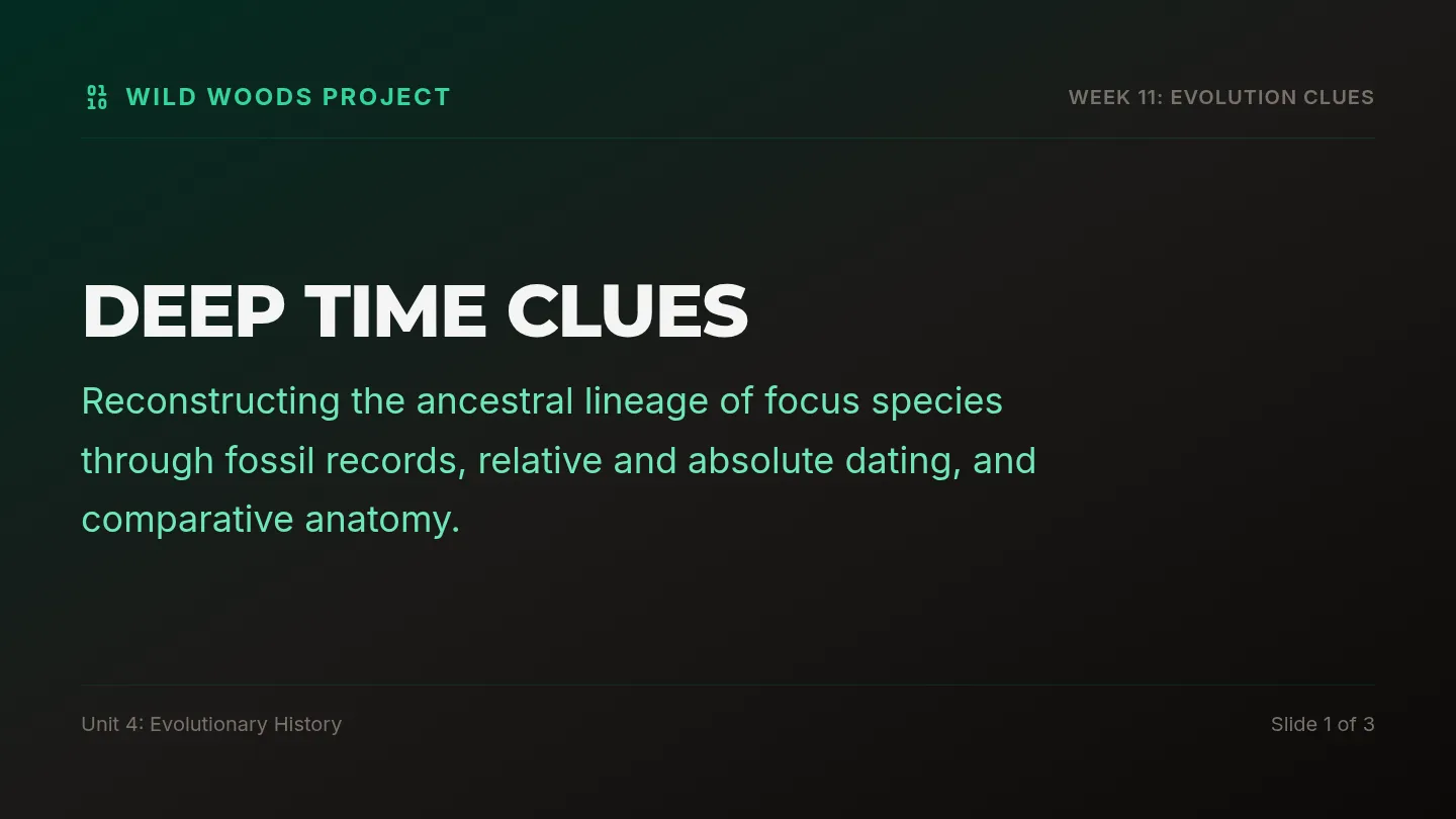 Ancestry Fossil Records Slides