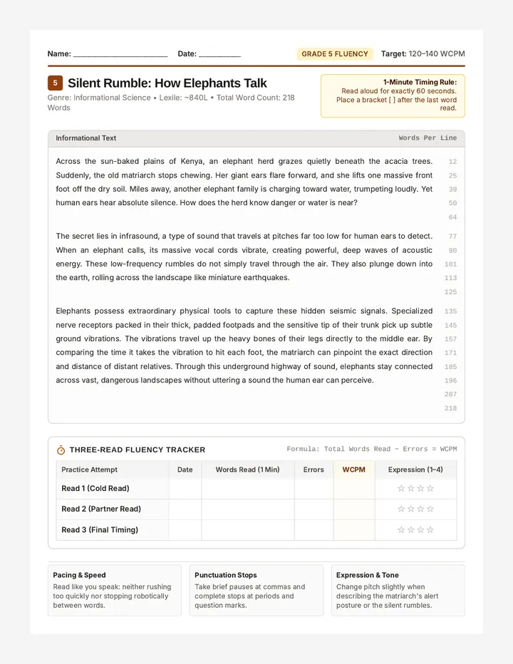 Silent Rumble Fluency Worksheet