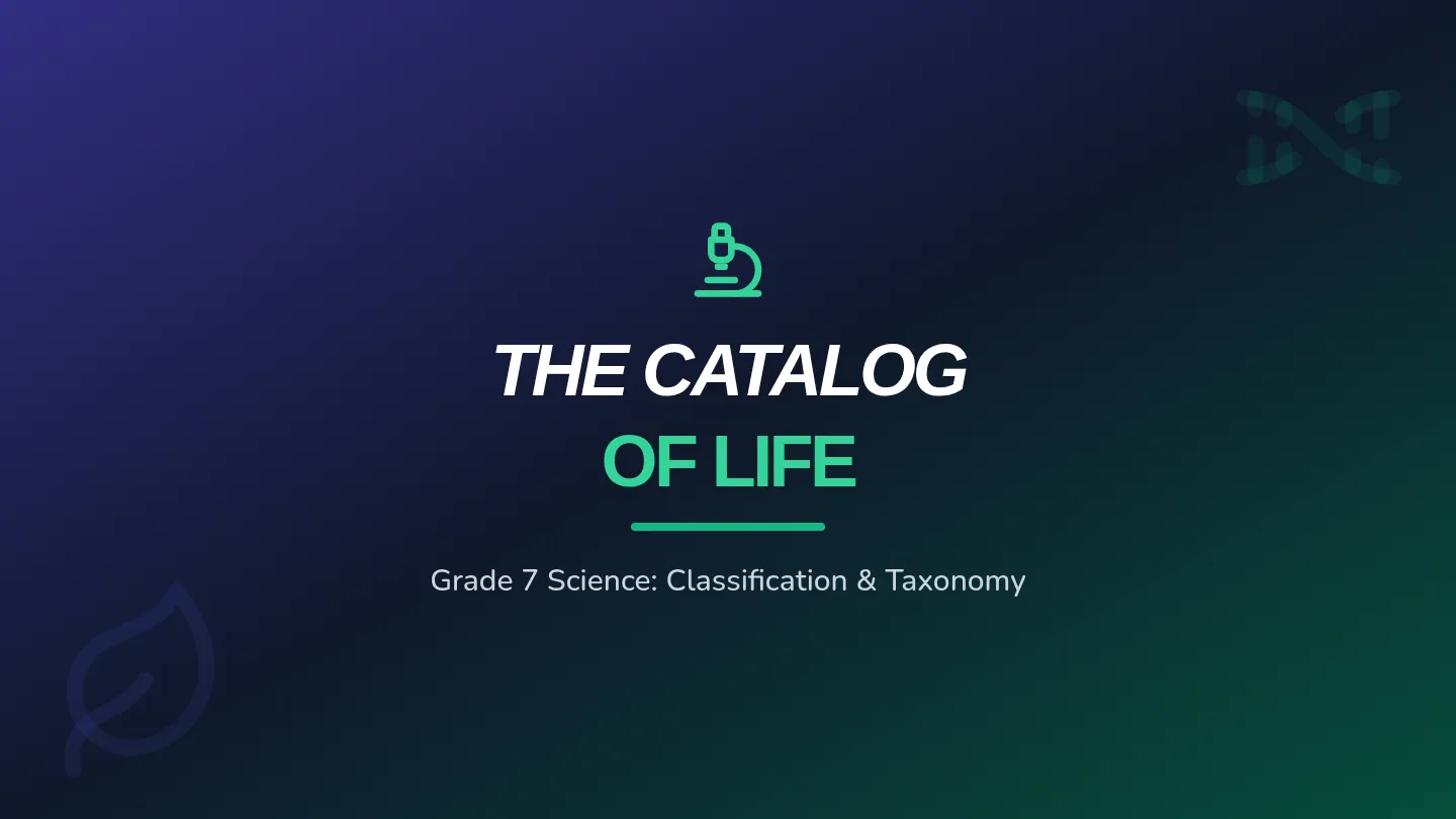 Life Catalog Slides
