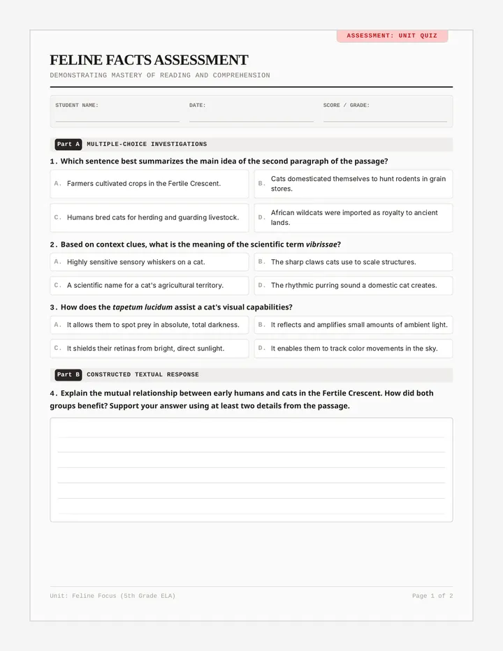 Feline Facts Assessment page 1