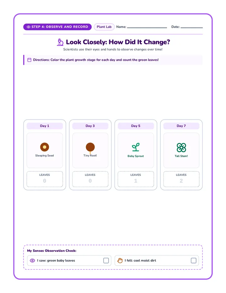 Seedling Growth Observation Worksheet