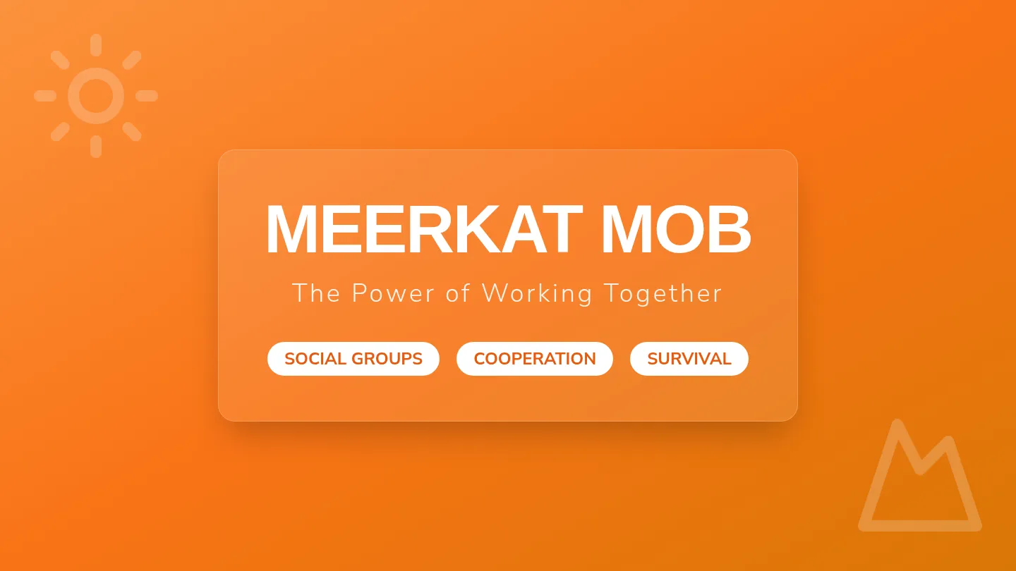 Meerkat Mob Slides Presentation
