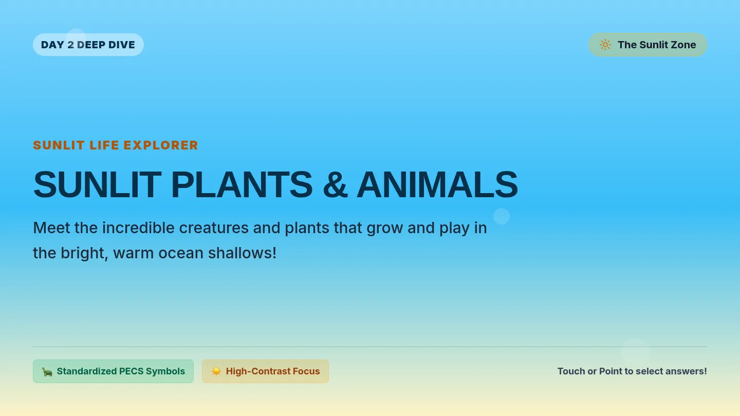 Sunlit Animals Slides