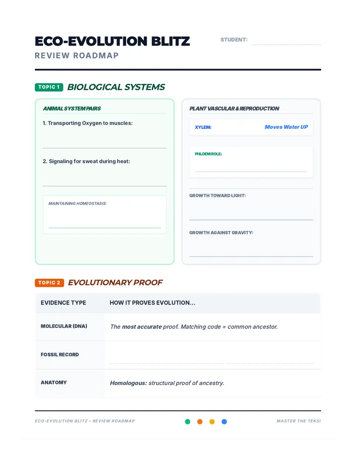 Eco Evolution Roadmap Worksheet