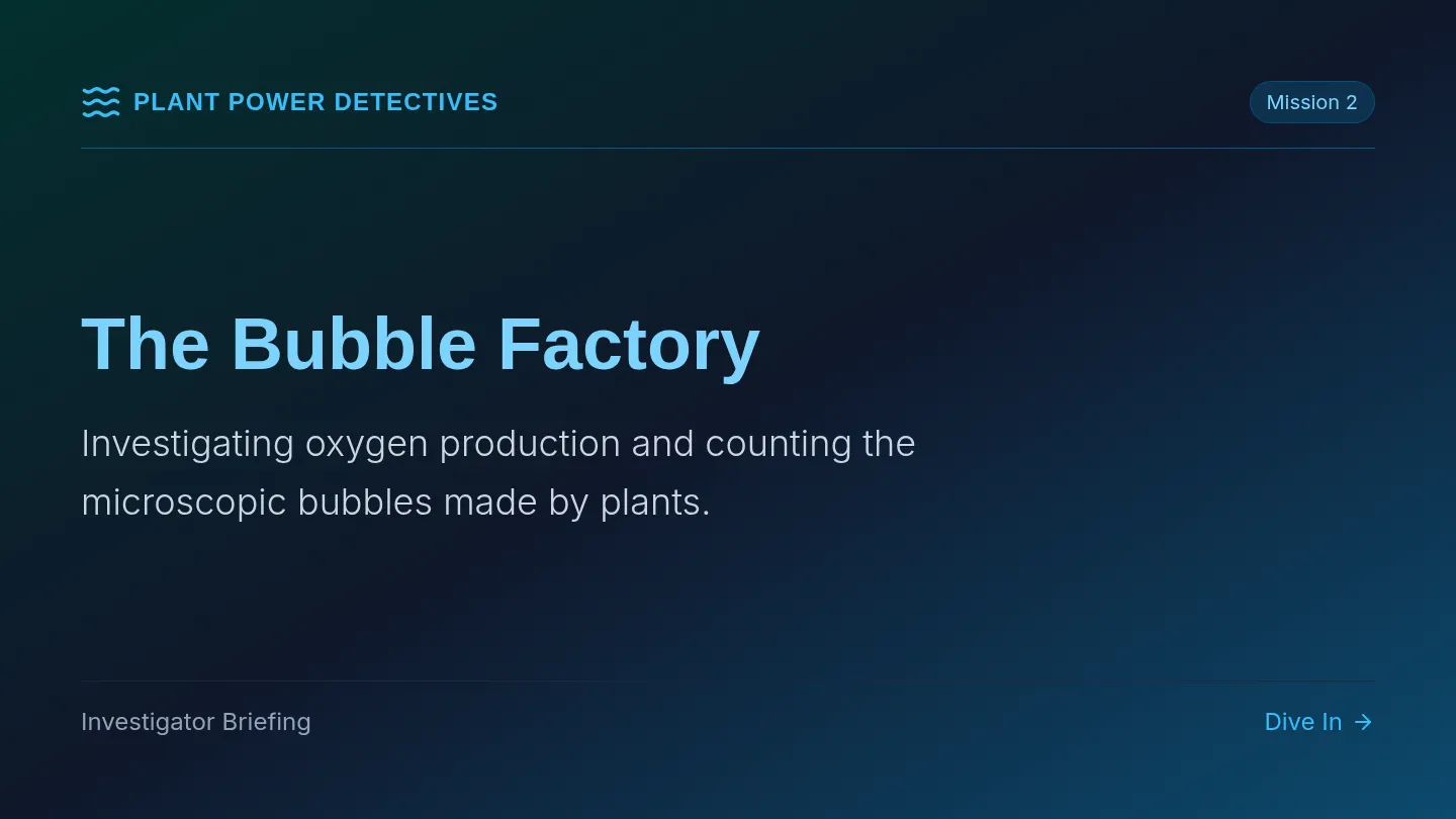 Bubble Factory Slides
