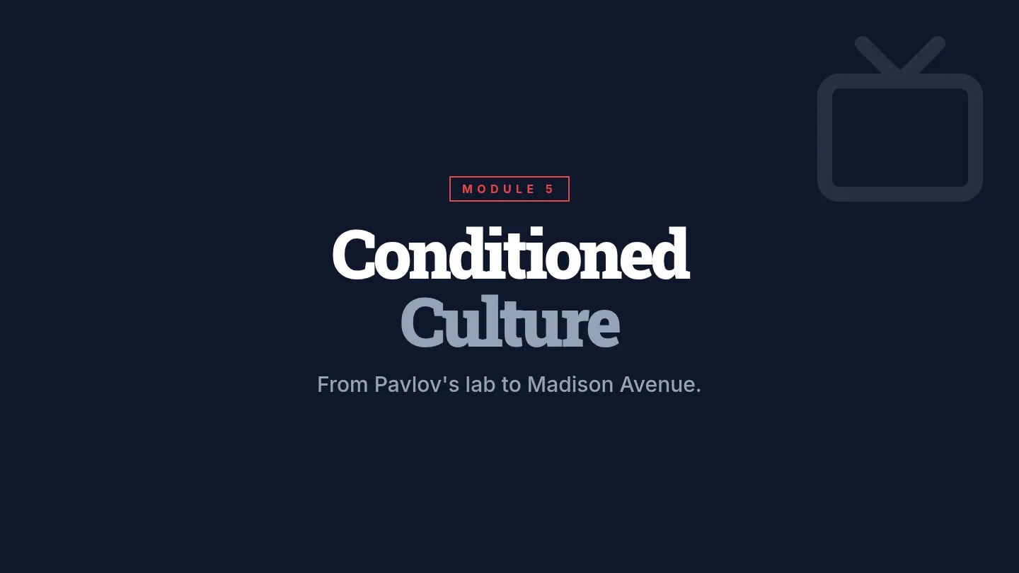 Conditioned Culture Slides