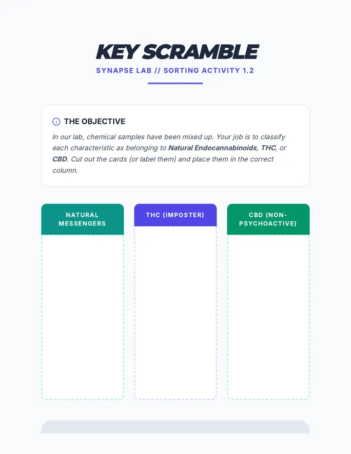 Key Scramble Activity