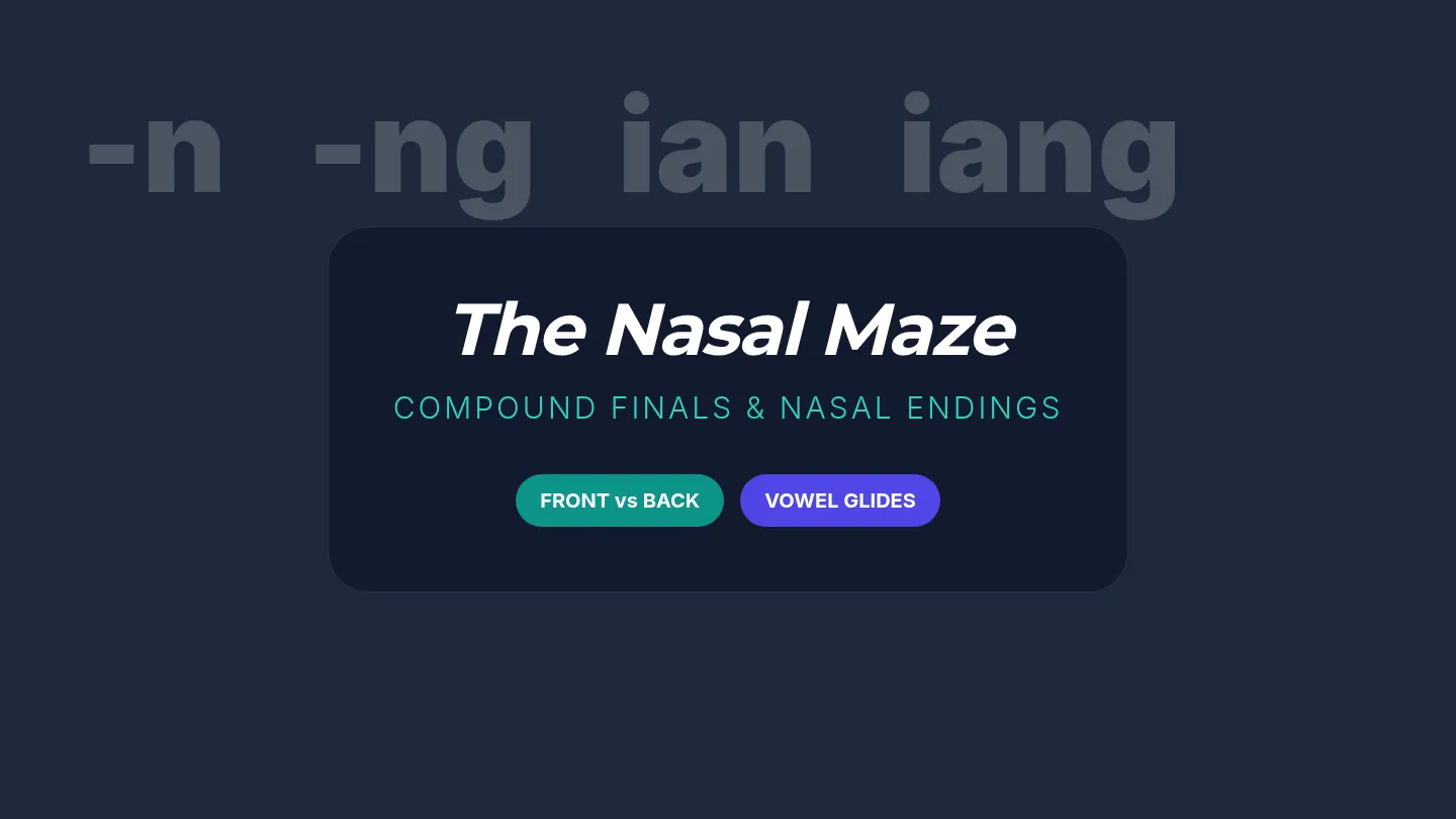Nasal Maze Slides