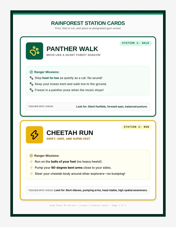Rainforest Rangers Station Cards