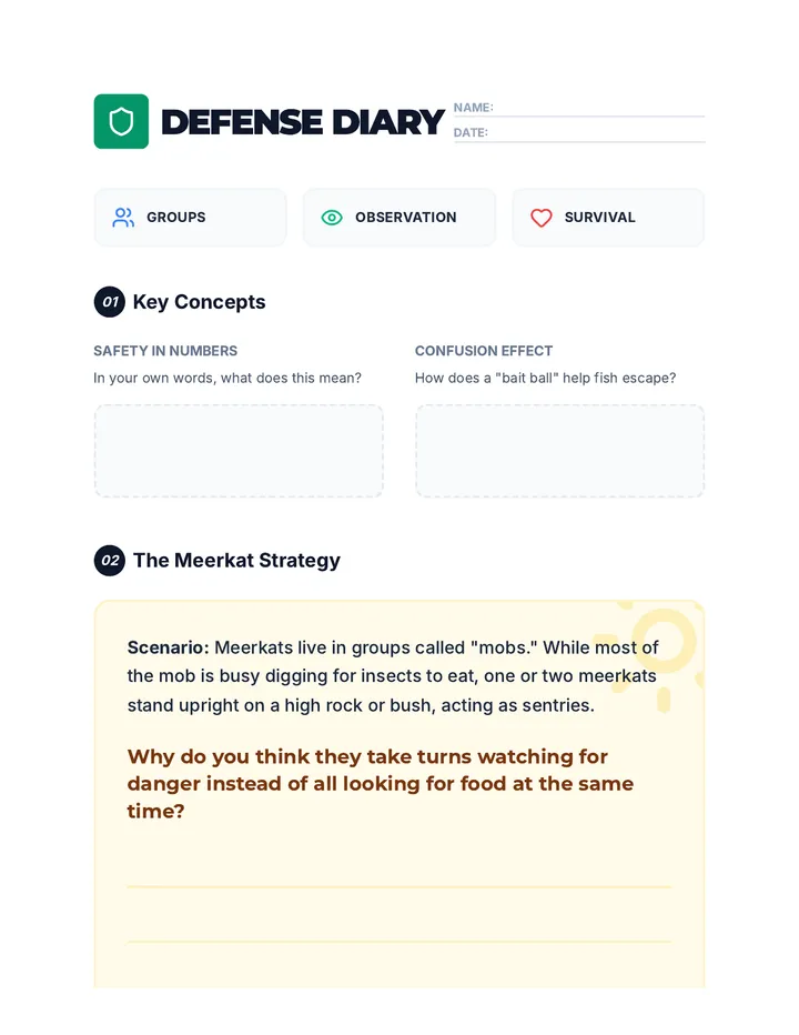 Defense Diary Journal Handout