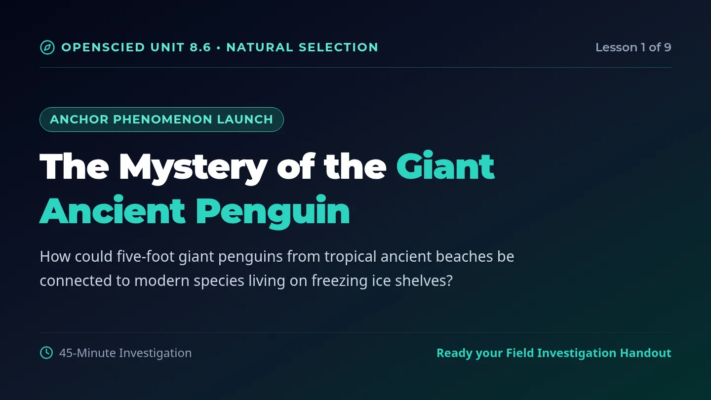 Giant Bones Slide Deck