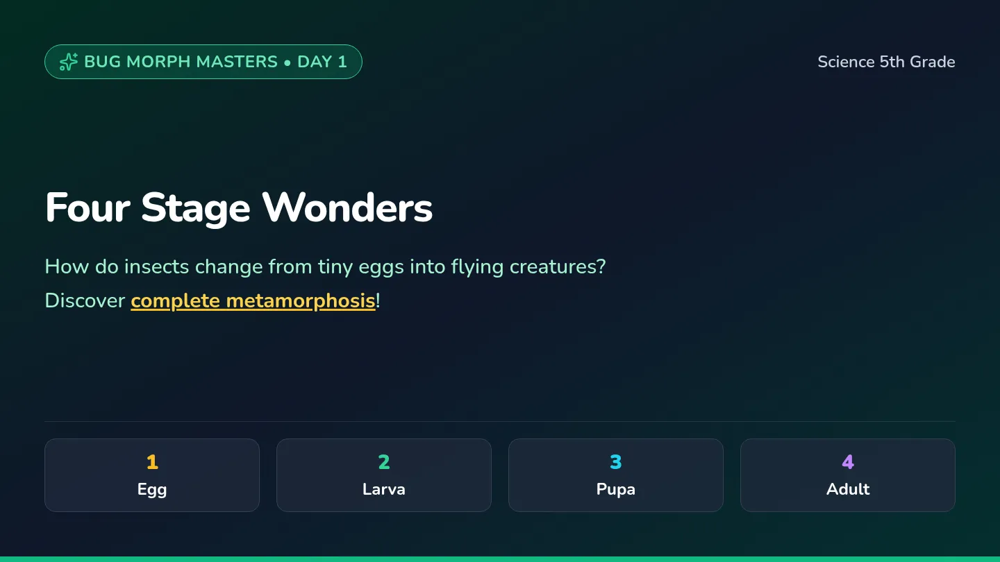 Four Stages Slides