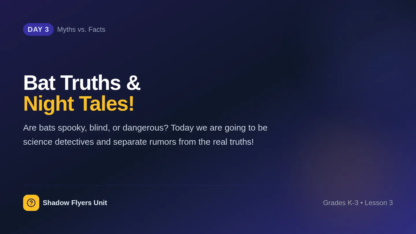 Bat Truths Slides