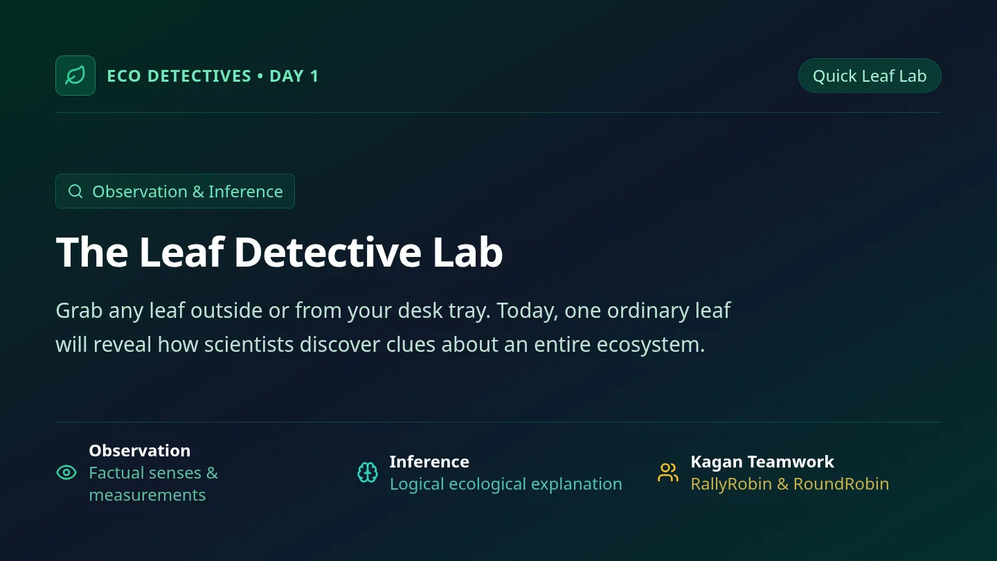 Observation Lab Slides