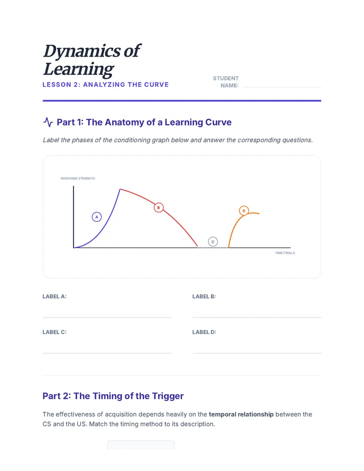 Dynamics of Learning Worksheet