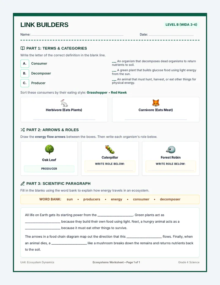 Link Builders Worksheet B