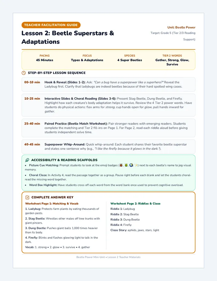 Beetle Superstars Teacher Guide