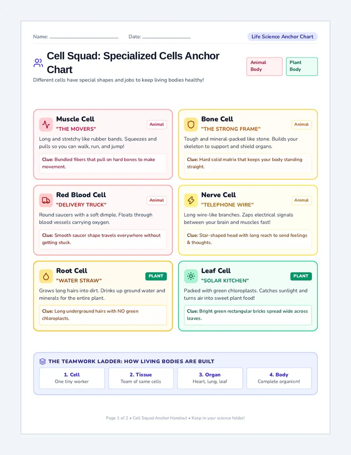 Cell Squad Anchor Handout
