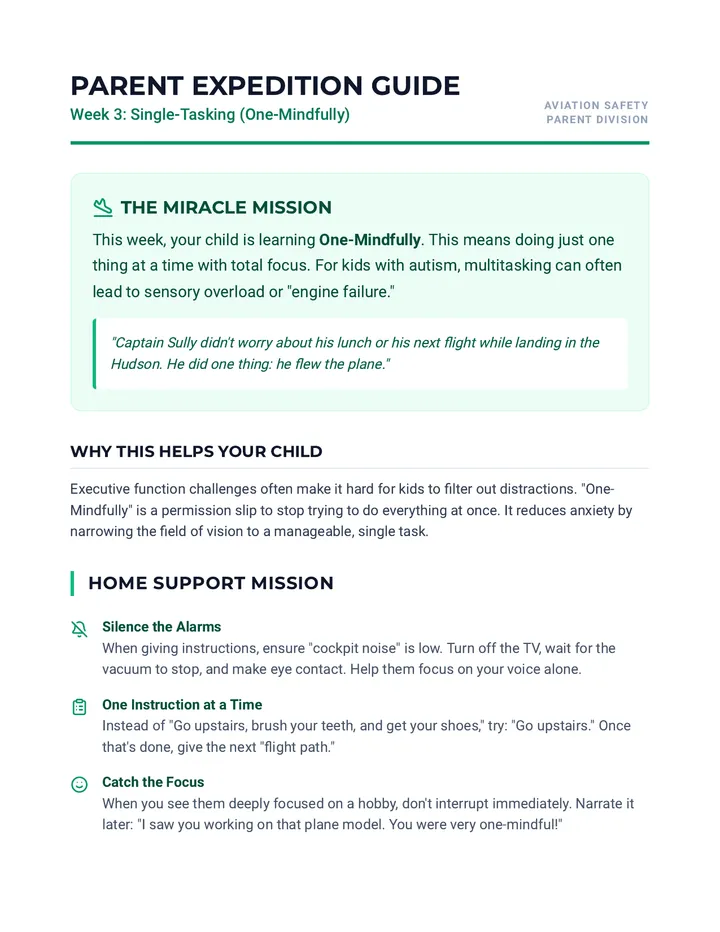 Flight Path Focus Parent Guide