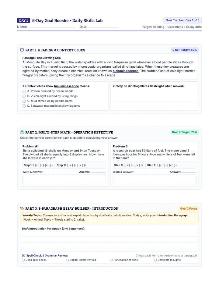 Daily Goals Booster Worksheet